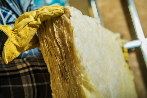 Best Spray Foam Insulation  in Westview, FL