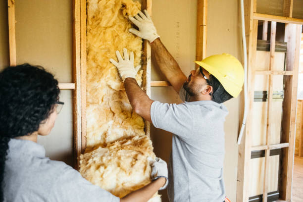 Best Insulation Contractors for Homes  in Westview, FL