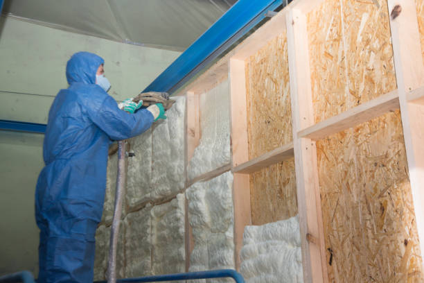Insulation Replacement Services in Westview, FL