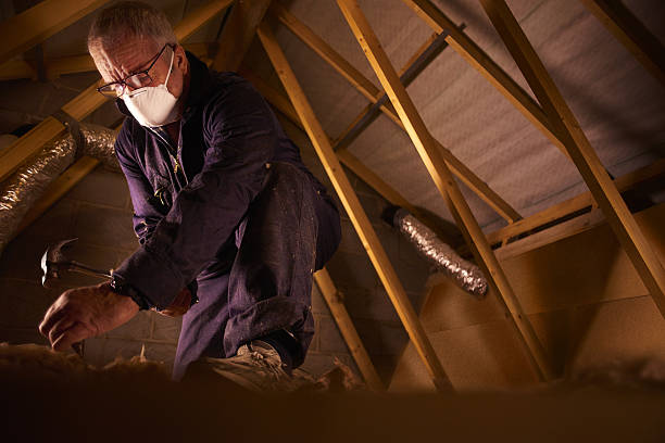 Best Crawl Space Insulation  in Westview, FL